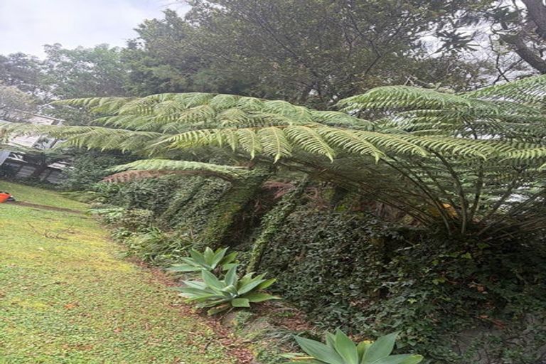Photo of property in 1078 Scenic Drive North, Swanson, Auckland, 0816