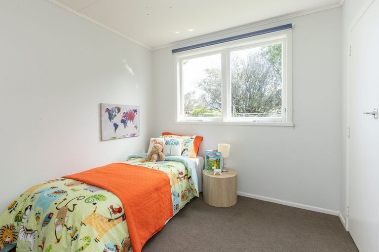 Photo of property in 1003 Totara Street, Mahora, Hastings, 4120