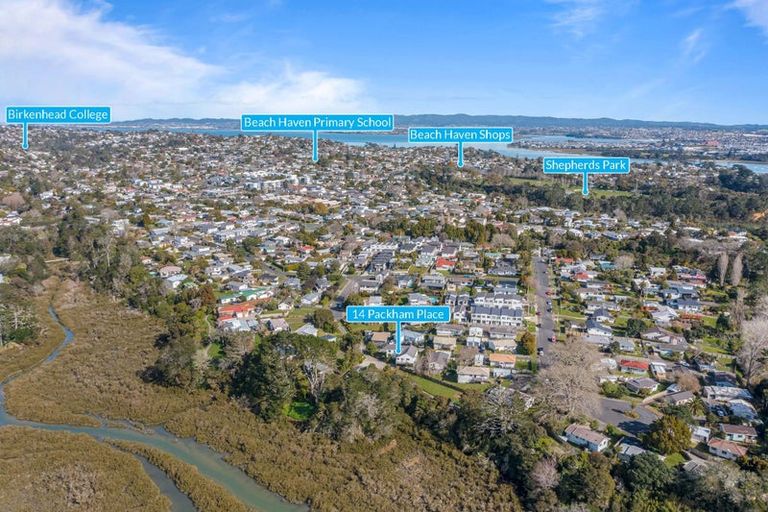 Photo of property in 14 Packham Place, Beach Haven, Auckland, 0626