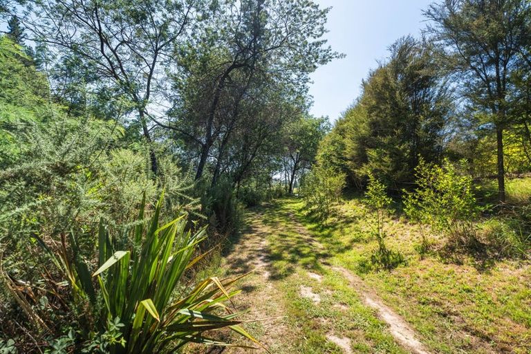 Photo of property in 390 Motueka River West Bank Road, Brooklyn, Motueka, 7196