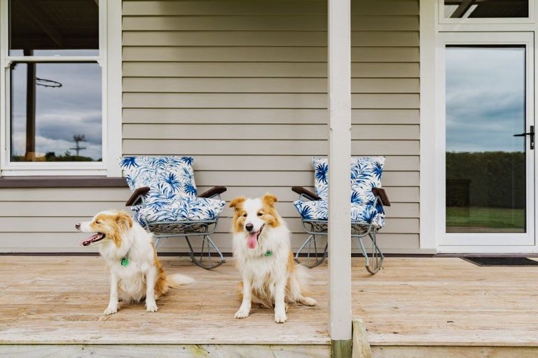 Photo of property in 524 Allanton Road, Outram, 9019