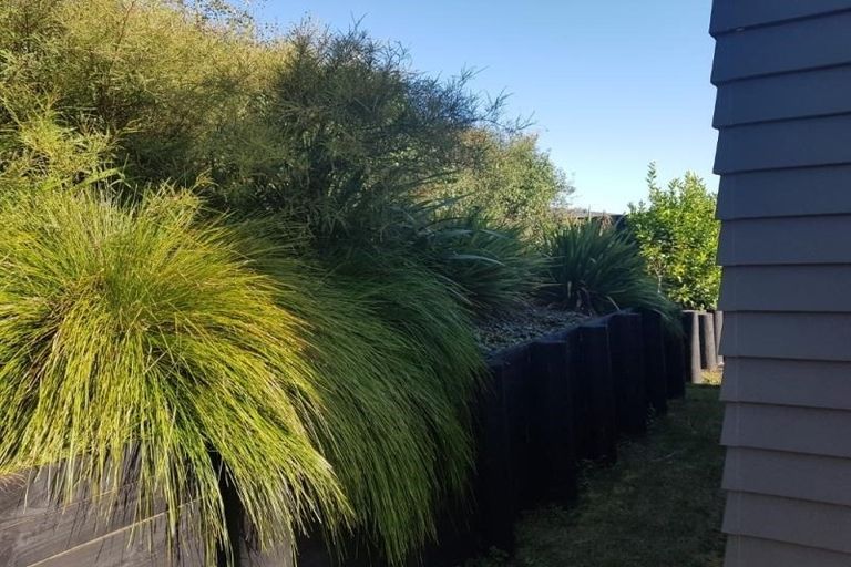 Photo of property in 64 Anselmi Ridge Road, Pukekohe, 2120