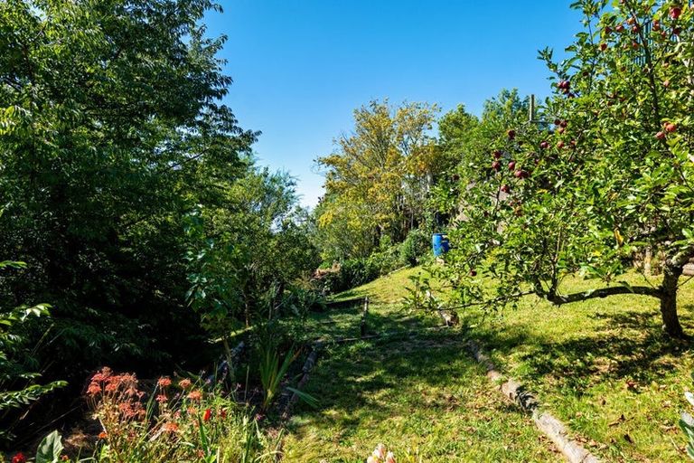 Photo of property in 39 Konini Street, Nelson South, Nelson, 7010