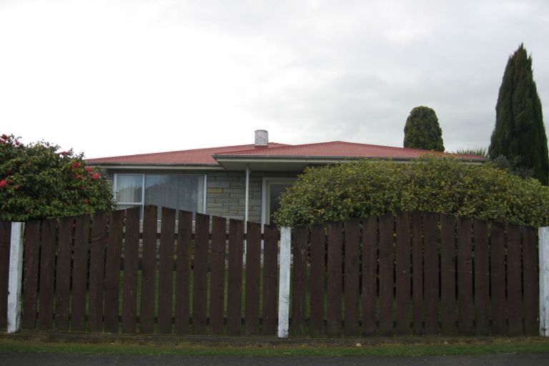 Photo of property in 151 Liverpool Street, Levin, 5510