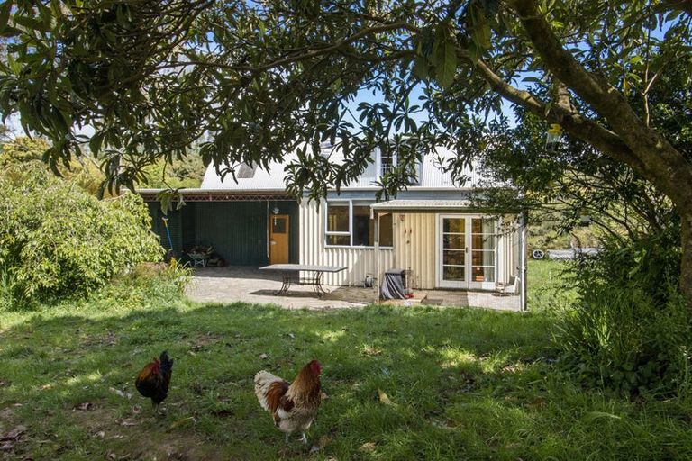 Photo of property in 167 Willoughby Road, Tahawai, Katikati, 3170