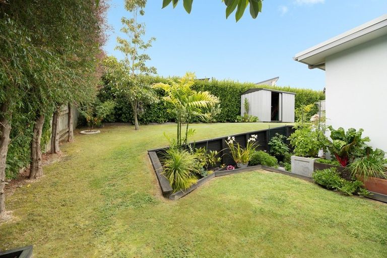 Photo of property in 49 Caldera Crescent, Pyes Pa, Tauranga, 3112