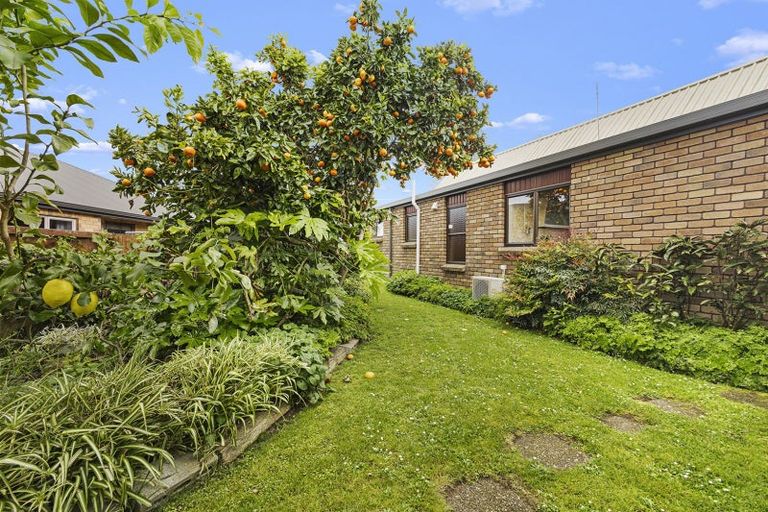 Photo of property in 60 Stirling Drive, Morrinsville, 3300