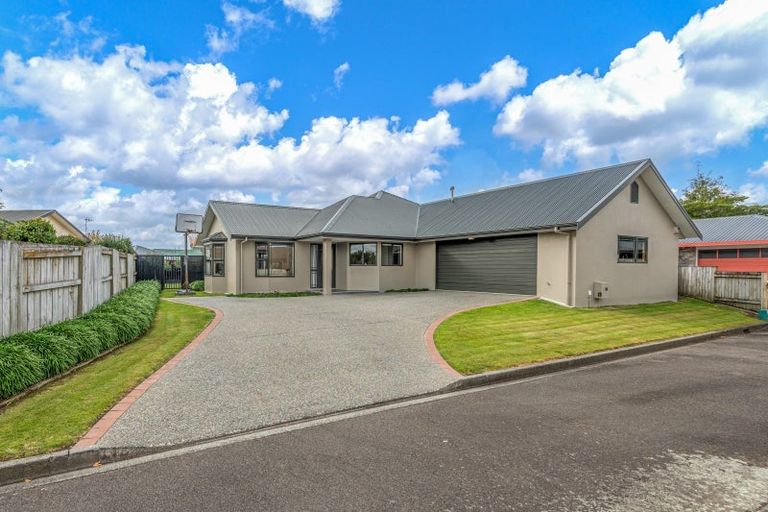 Photo of property in 19 Strachan Way, Highbury, Palmerston North, 4412