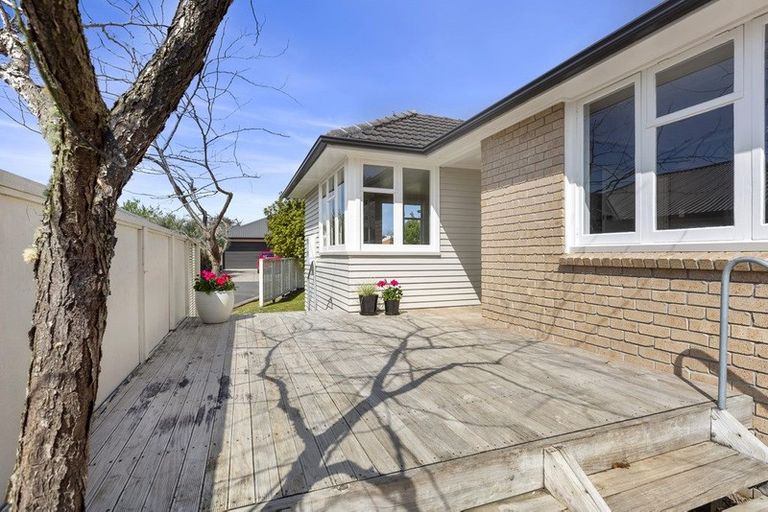 Photo of property in 124 Clarkin Road, Fairfield, Hamilton, 3214