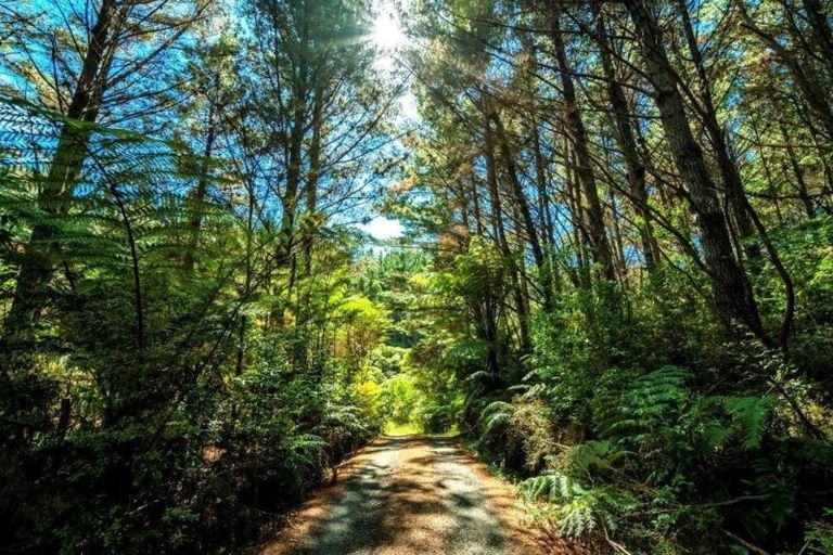 Photo of property in 625 Boat Harbour Road, Whenuakite, Whitianga, 3591