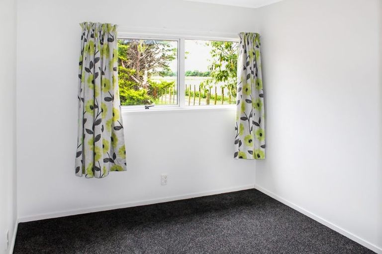 Photo of property in Sharella Park Cattery, 578 Kairanga Bunnythorpe Road, Newbury, Palmerston North, 4478