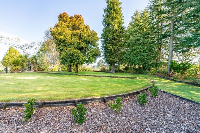 Photo of property in 82 Link Road, Wairakei, Taupo, 3384