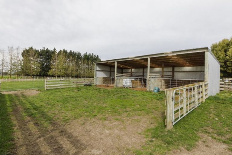Photo of property in 77 Kilkern Road, Marton, Bulls, 4894