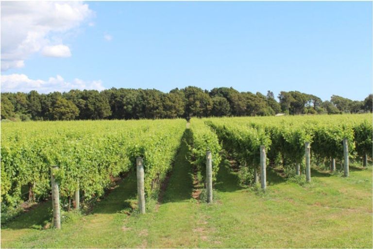 Photo of property in 17 Riverside Drive, Ohau, 5570