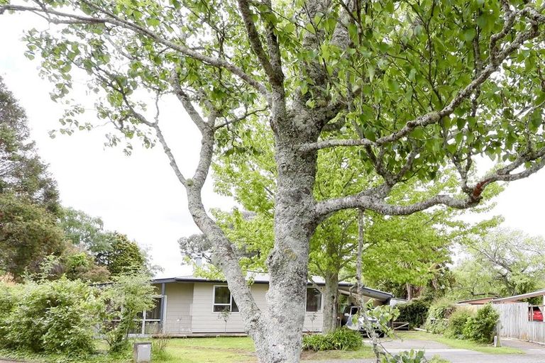 Photo of property in 14 Luke Place, Fairy Springs, Rotorua, 3015