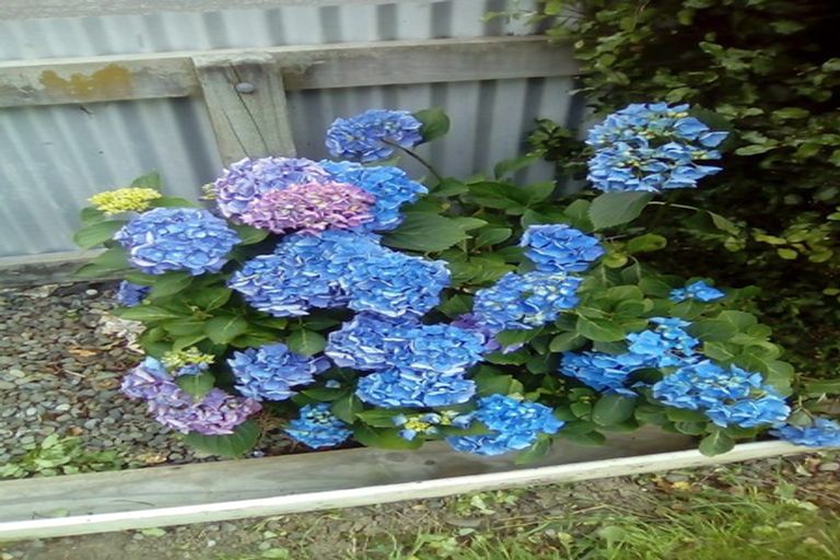 Photo of property in 2 Hobson Place, Takaro, Palmerston North, 4412