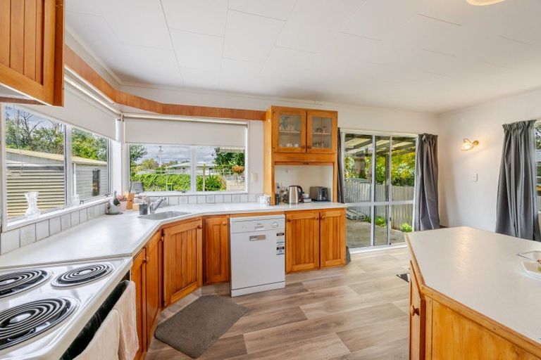 Photo of property in 38 Francis Drake Street, Waipukurau, 4200