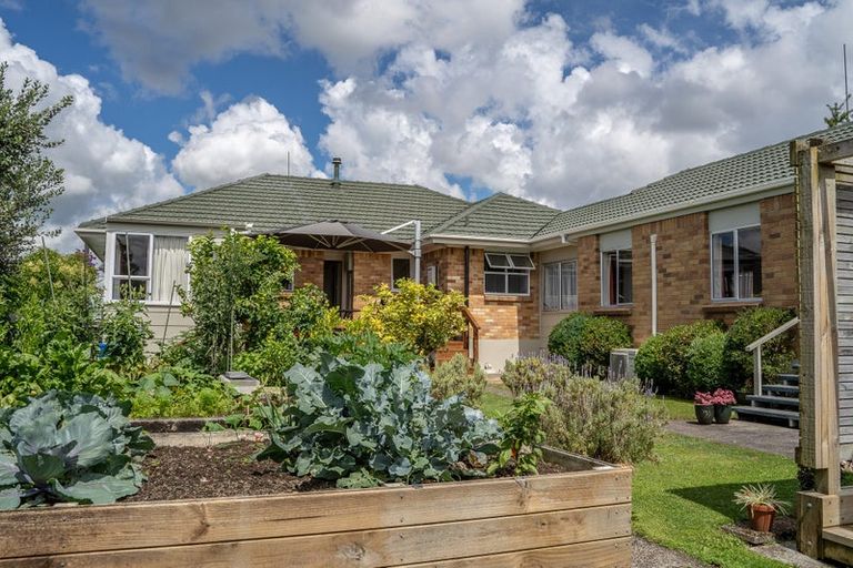 Photo of property in 17 Johnsview Terrace, Hillcrest, Hamilton, 3216