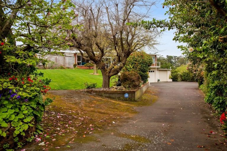 Photo of property in 37a Trafalgar Street, Westown, New Plymouth, 4310