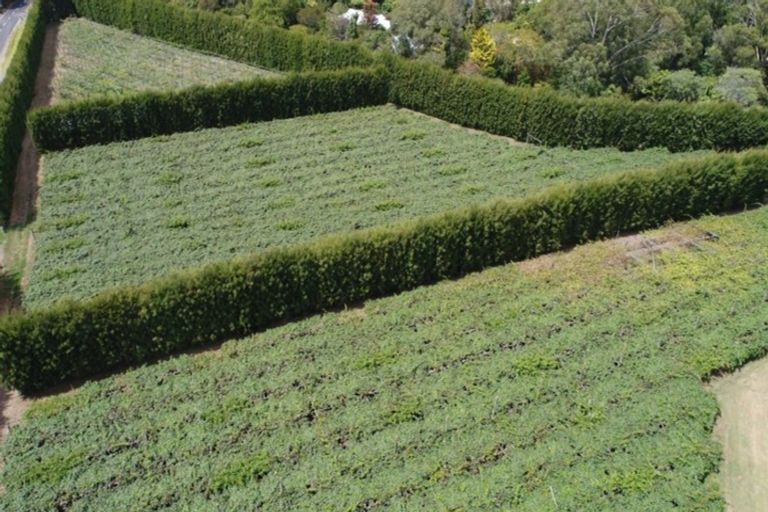 Photo of property in 78 Plummers Point Road, Whakamarama, Tauranga, 3172