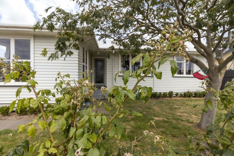 Photo of property in 11 Fearon Street, Seddon, 7210