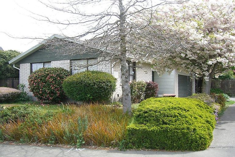 Photo of property in 24 Millstream Drive, Lincoln, 7608