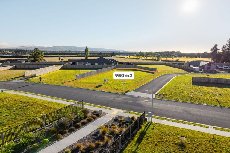 Photo of property in 31 Greig Crescent, Amberley, 7481