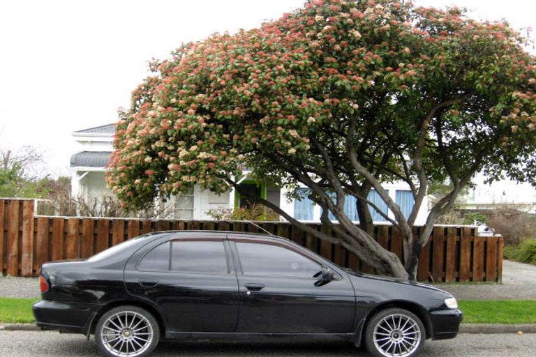 Photo of property in 9 Miriam Street, Masterton, 5810