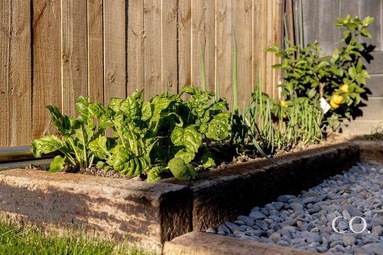 Photo of property in 22 Serenity Drive, Omokoroa, 3114