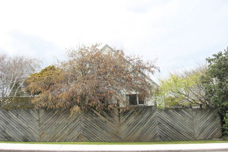 Photo of property in 259 Papamoa Beach Road, Papamoa Beach, Papamoa, 3118