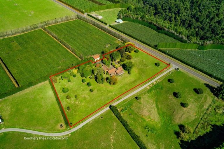 Photo of property in 955 Te Matai Road, Te Ranga, Te Puke, 3188