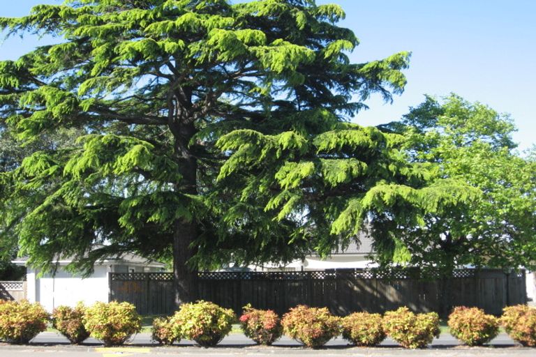 Photo of property in 714 Gladstone Road, Te Hapara, Gisborne, 4010