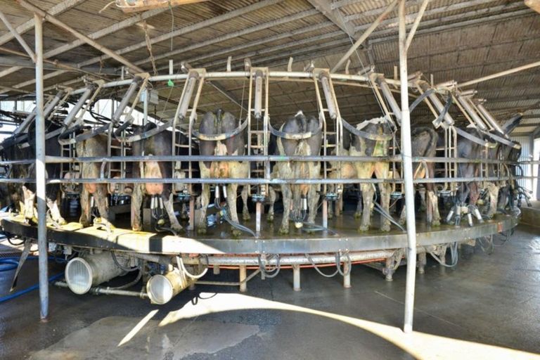 Photo of property in 330 Mahanga Road, Mahia, Nuhaka, 4198