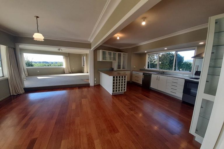 Photo of property in 195 Plummers Point Road, Whakamarama, Tauranga, 3172