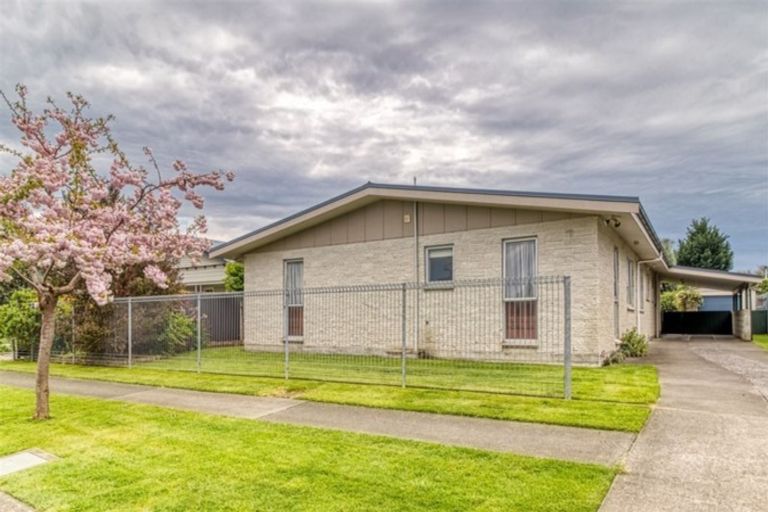 Photo of property in 119 Garnett Street, Raureka, Hastings, 4120