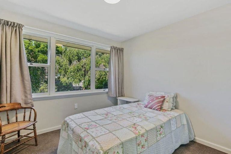 Photo of property in 10 Lowry Street, Waiau, 7332