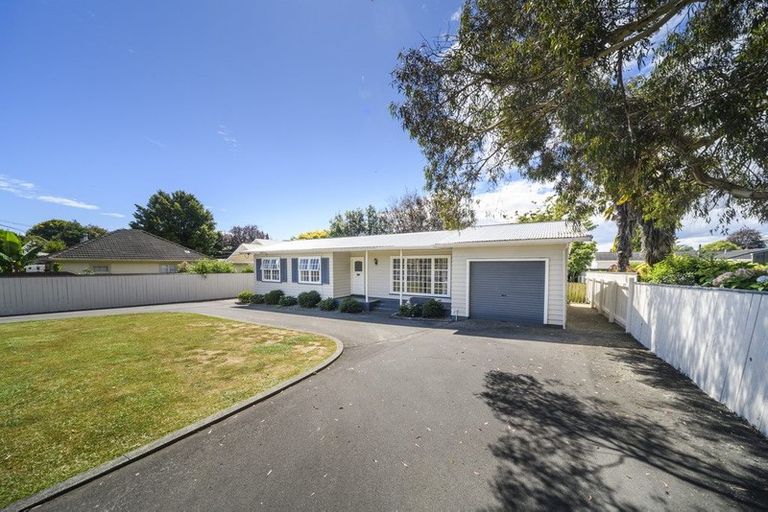 Photo of property in 39 Macarthur Street, Levin, 5510