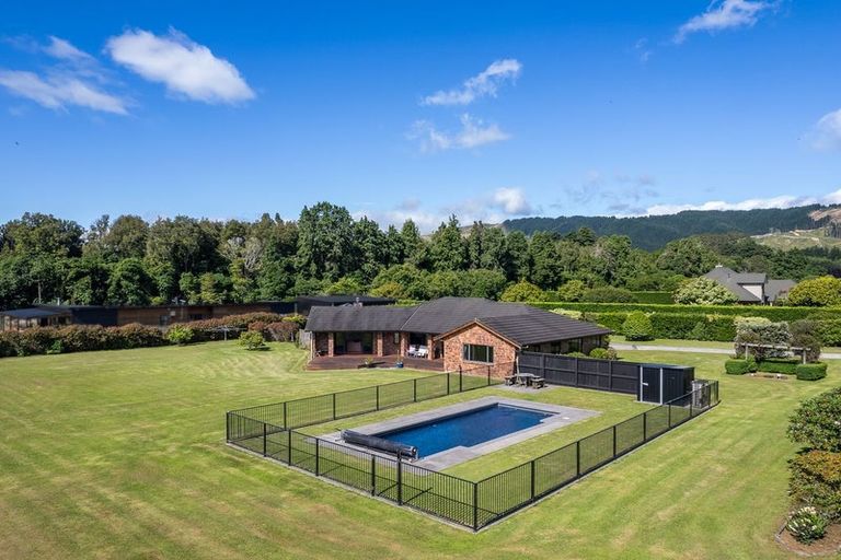 Photo of property in 38 Pohutukawa Drive, Levin, 5571