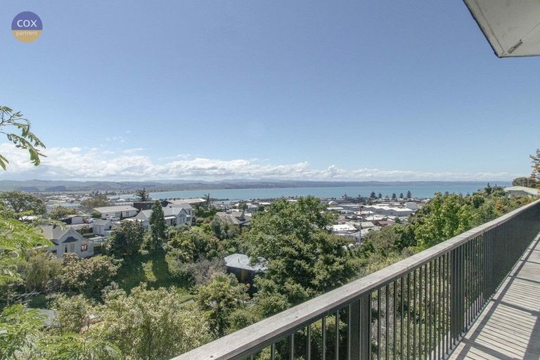 Photo of property in 23 Denholm Road, Hospital Hill, Napier, 4110