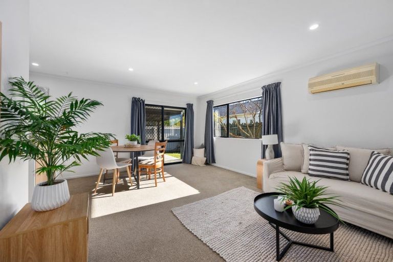 Photo of property in 167 Scott Street, Redwoodtown, Blenheim, 7201