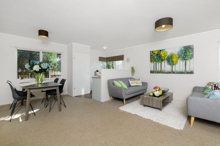 Photo of property in 10b Hilltop Road, Parkvale, Tauranga, 3112