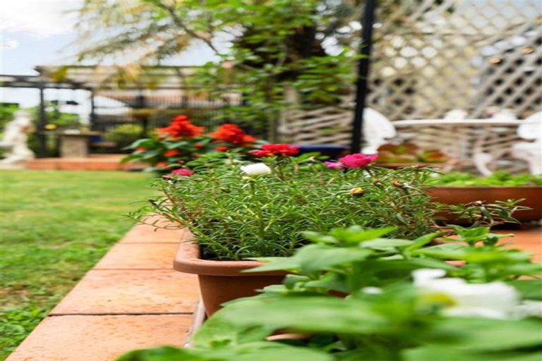 Photo of property in 8a Hassard Street, Kensington, Whangarei, 0112