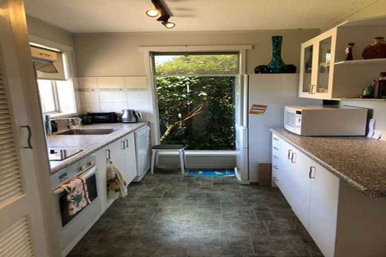 Photo of property in 25b Sillary Street, Hamilton East, Hamilton, 3216