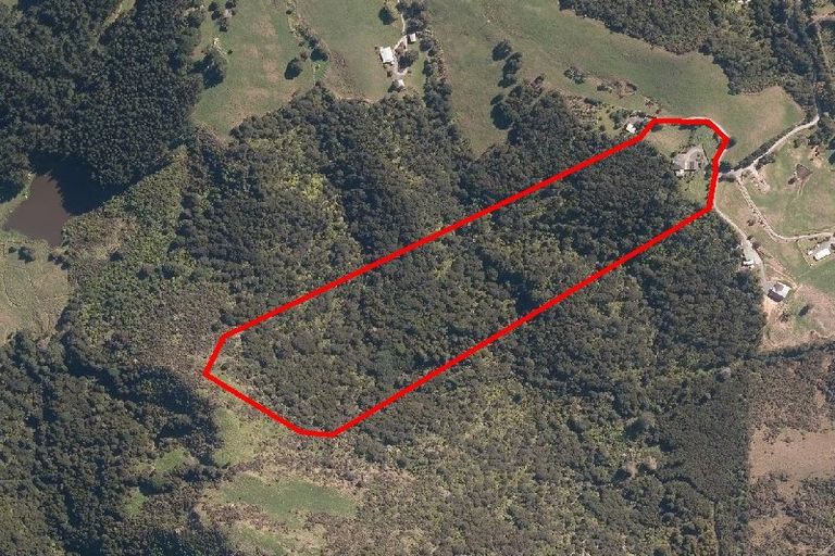 Photo of property in 141 Dennis Road, Kaipara Flats, Warkworth, 0981