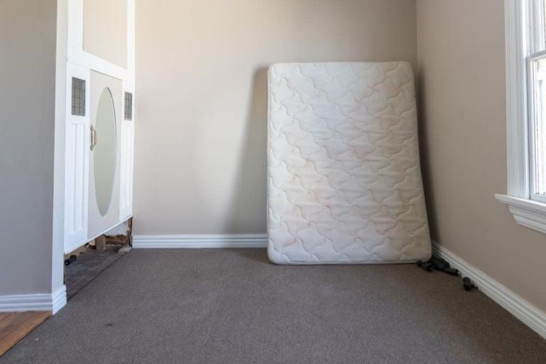 Photo of property in 51 Grace Street, Appleby, Invercargill, 9812