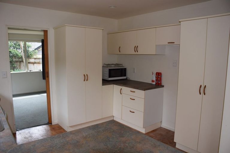 Photo of property in 13 Noel Williams Place, Windsor Park, Auckland, 0630