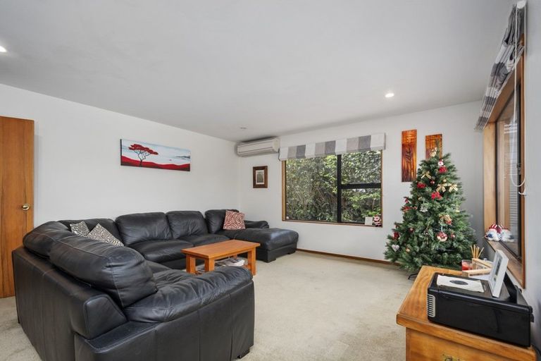 Photo of property in 47a Maranui Street, Mount Maunganui, 3116