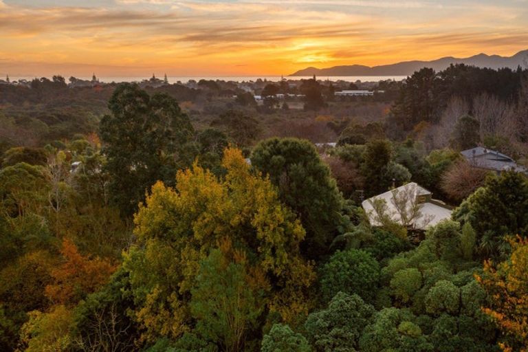 Photo of property in 60 Leinster Avenue, Raumati South, Paraparaumu, 5032