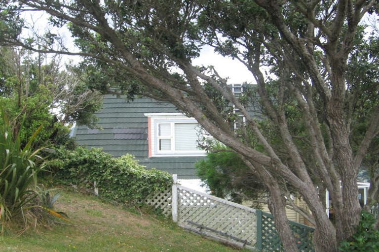 Photo of property in 160 Buckley Road, Southgate, Wellington, 6023