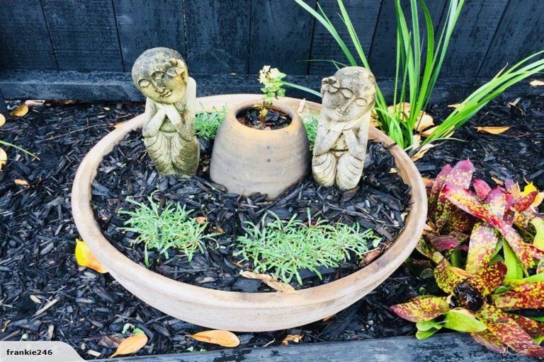 Photo of property in 7a Cedar Terrace, Stanmore Bay, Whangaparaoa, 0932